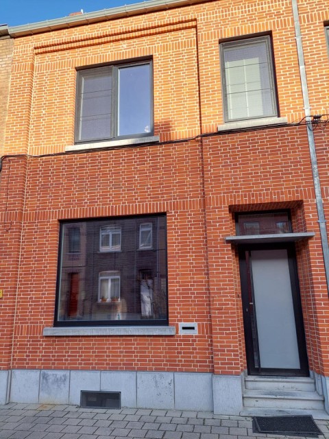 Zwarte PVC voordeur met bovenlicht en melkglas geplaatst in Leopolsburg